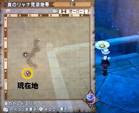20170926かくれんぼ11