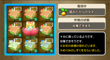 20170813めぐみ05