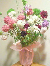 96f12182.jpg