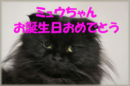¥ß¥å¥¦