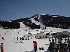 143883d9.jpg