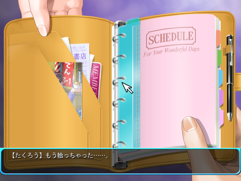 SnapCrab_No-0054