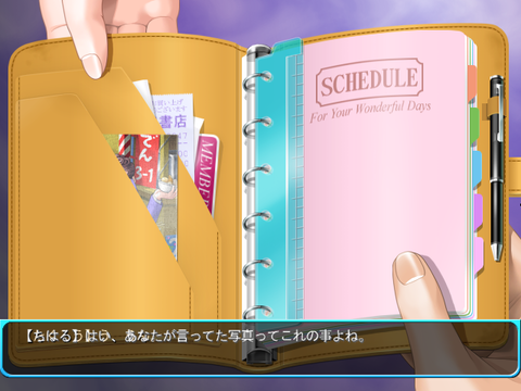 SnapCrab_No-0060