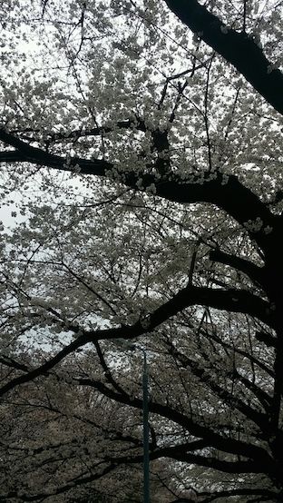20150329_134654_125