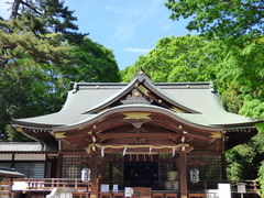 P1030501