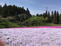 IMG_1152