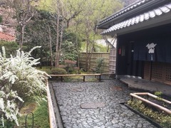 IMG_1031