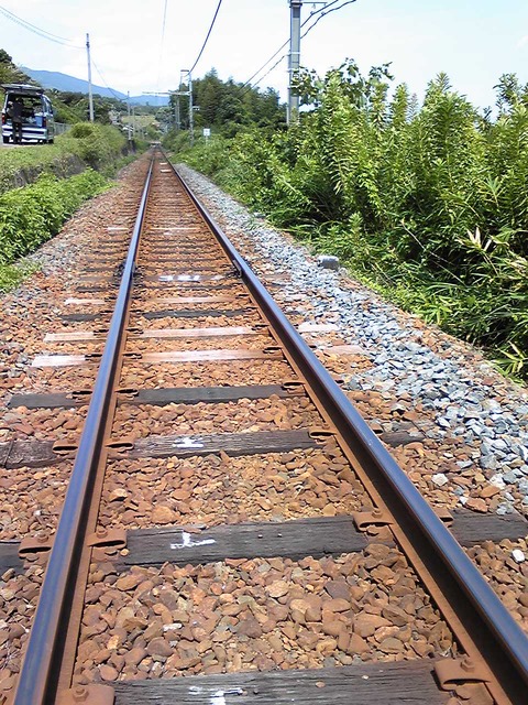 SH350157