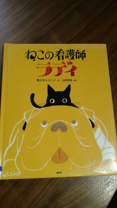 2017051119250000