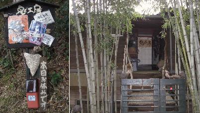 onikoubou