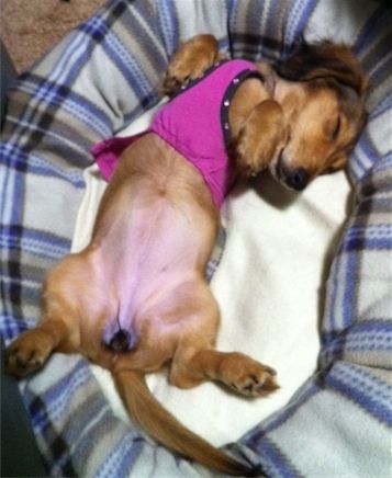 ZZZ
