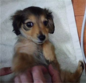 luvui04 2