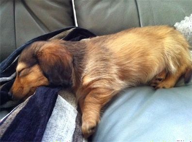 tired