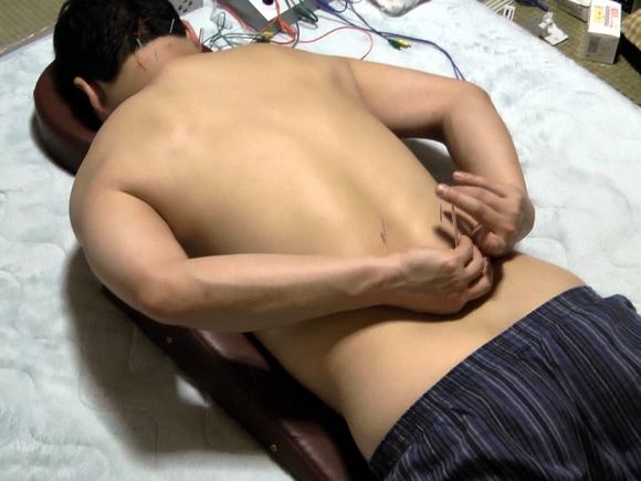 zi1no11