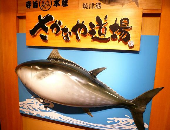 sakanaya1no12