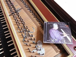 タチアナのフーガ