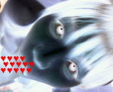 9862d5b0.jpg