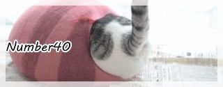 バナー1