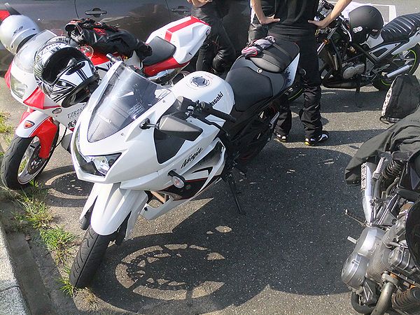 どりせぶさんorハクさん