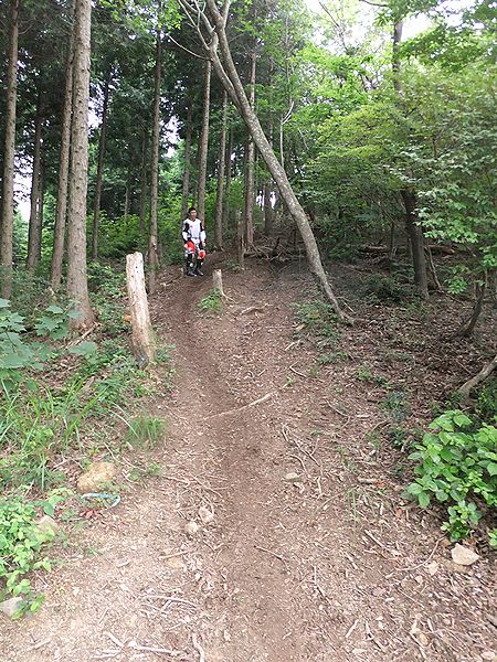 林道ツー (4)
