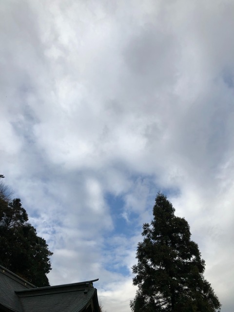 S__4546575