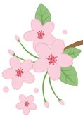 桜