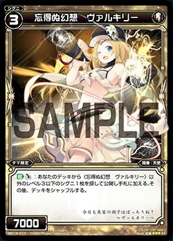 WD13-017-1