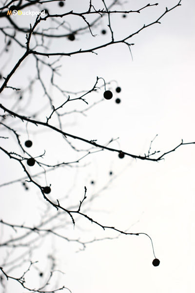 jan28_22_12