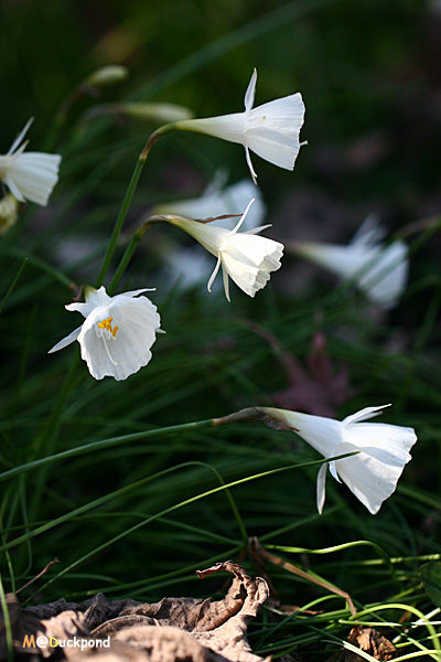 feb9_9_12