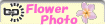 Flower Photo �ԡ��פ�