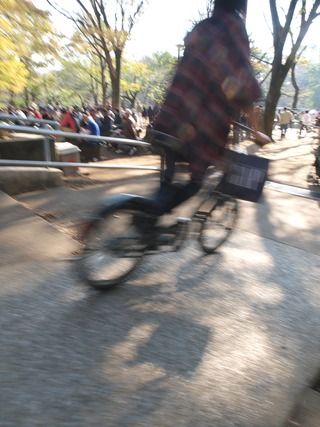 自転車ビューン。
