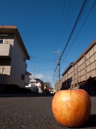 りんご。