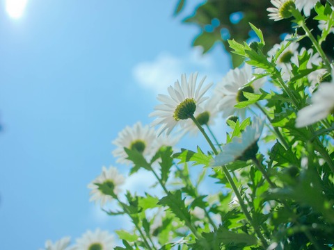 3L121659_lr_1_R