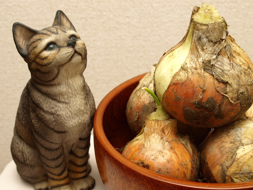 たまちゃん。