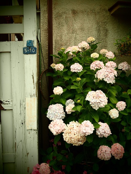 2M110239_rfc_R