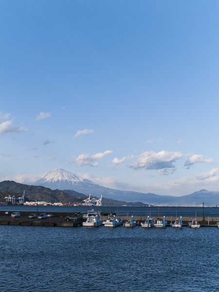 _2232598_rc