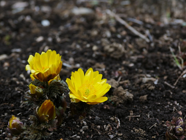 P1020512
