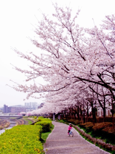 cycling