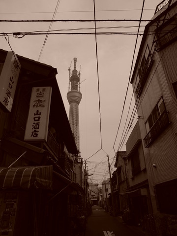 同居。