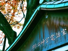 5E242035_rc_R