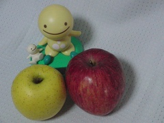 ISO1600