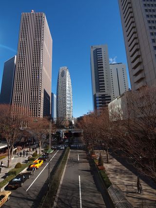 これが定番!