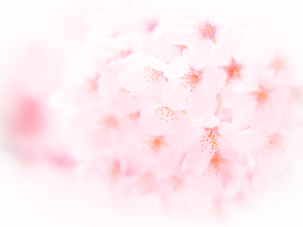 2M020166_rc