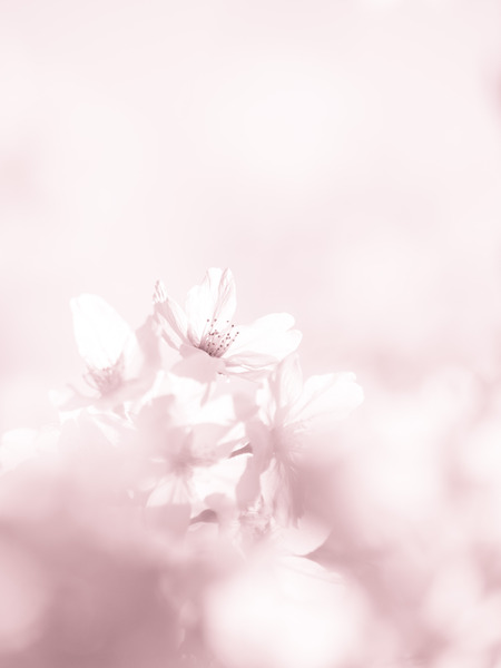 EM055078_rc