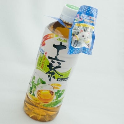 十六茶とQB。