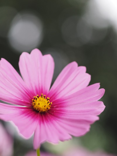 EM042357_R