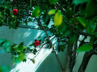 3L121640_rc_R