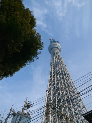 緑と空。