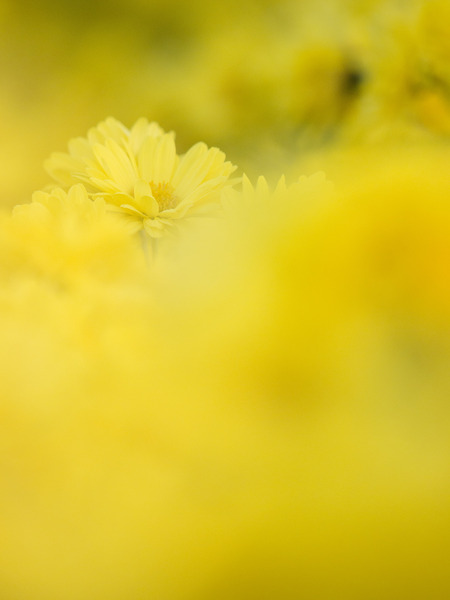 EM306348_rc