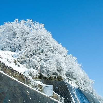 雪をまとって。